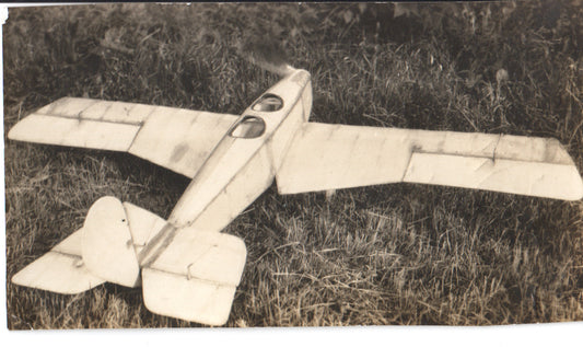 Vintage handcrafted wooden model airplane on grass. - Image: Folder9-5