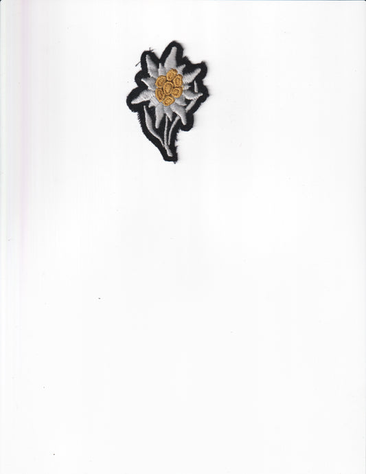 Vintage embroidered edelweiss flower patch - File: 2025-05-13-0007.jpg
