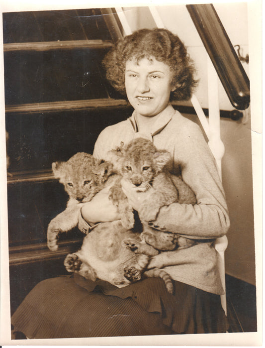 Vintage photograph of a young woman with two lion cubs on her lap. - Image: Folder24-9