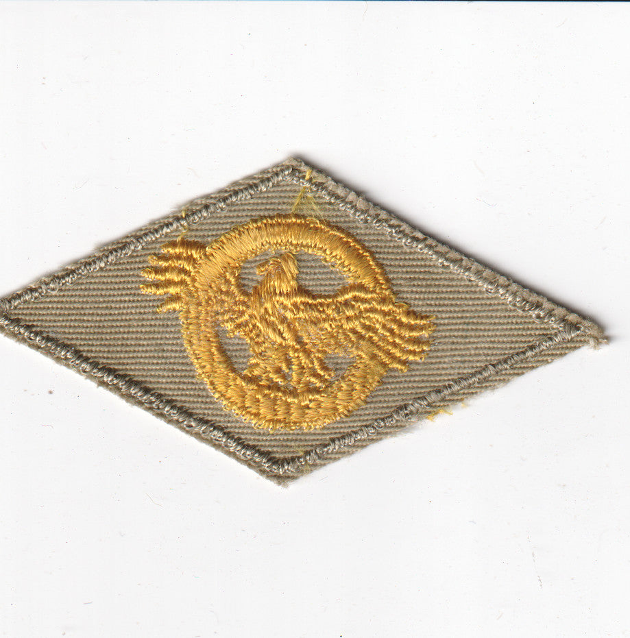 Vintage military patch with a gold emblem. - File: 2025-05-13-0011.jpg