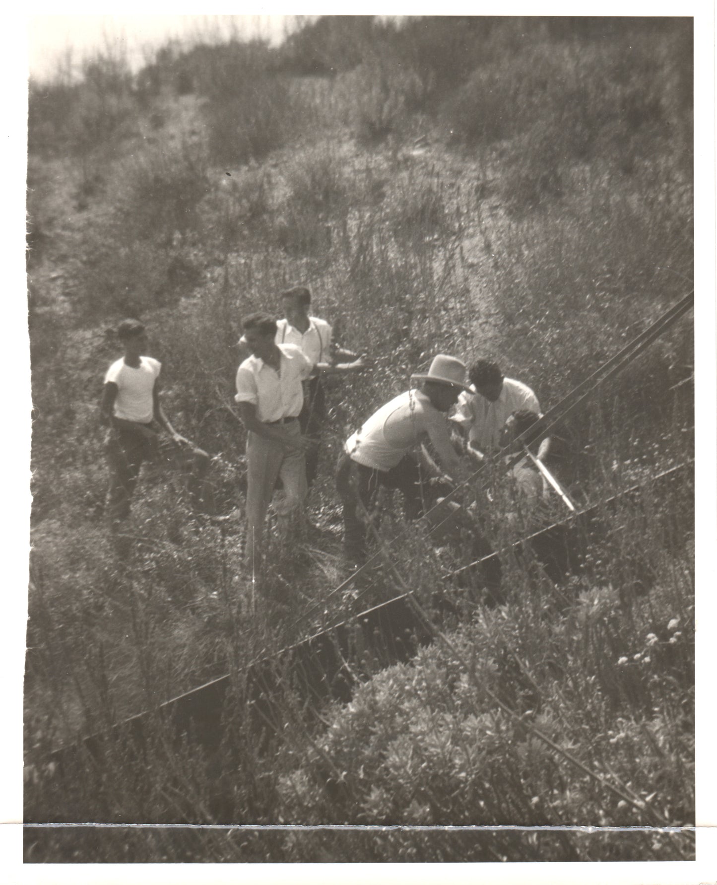 Alternate view of Vintage Black and White Photograph of Aircraft Crash Recovery - Mid-20th Century Exploration - Image: Folder18-9