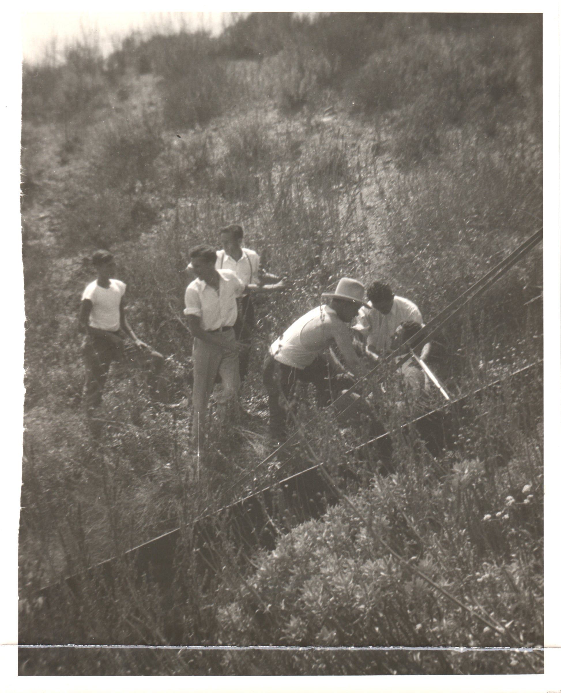Alternate view of Vintage Black and White Photograph of Aircraft Crash Recovery - Mid-20th Century Exploration - Image: Folder18-9